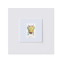 Lunar New Year: Year of the Dragon Matted Stamp