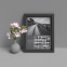 Ansel Adams Framed Stamps