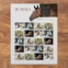 Horses Stamps