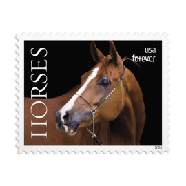 Horses Stamps