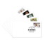 Horses First Day Cover
