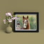 Horses Framed Stamps, Chestnut
