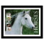 Horses Framed Stamps, Gray