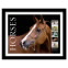 Horses Framed Stamps, Chestnut in Halter