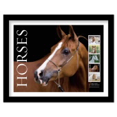 Horses Framed Stamps, Chestnut in Halter image