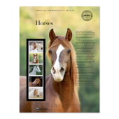 Horses American Commemorative Panel® image