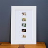 Horses Matted Stamps