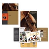 Horses Stamp Portfolio image