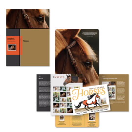 Horses Stamp Portfolio