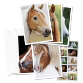 Horses Notecards image