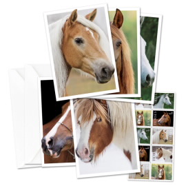 Horses Notecards
