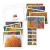 Autumn Colors Cards