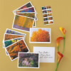 Autumn Colors Cards