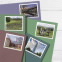 Battlefields of the American Revolution Stamps