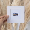 Colorado Statehood Matted Stamps