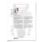 Lunar New Year: Year of the Horse American Commemorative Collection Page image