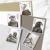 Bald Eagle: Hatchling to Adult Stamps