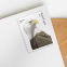 Bald Eagle: Hatchling to Adult Stamps