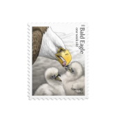 Bald Eagle: Hatchling to Adult Stamps image