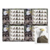 Bald Eagle: Hatchling to Adult Press Sheet with Die-Cuts