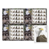 Bald Eagle: Hatchling to Adult Press Sheet with Die-Cuts image