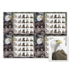Bald Eagle: Hatchling to Adult Press Sheet without Die-Cuts