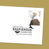 Bald Eagle: Hatchling to Adult First Day Covers