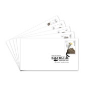 Bald Eagle: Hatchling to Adult First Day Covers image