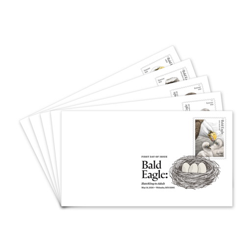Bald Eagle: Hatchling to Adult Digital Color Postmarks