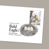 Bald Eagle: Hatchling to Adult Digital Color Postmarks