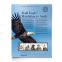 Bald Eagle: Hatchling to Adult American Commemorative Panel®