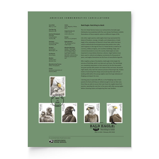 Bald Eagle: Hatchling to Adult American Commemorative Cancellation Page