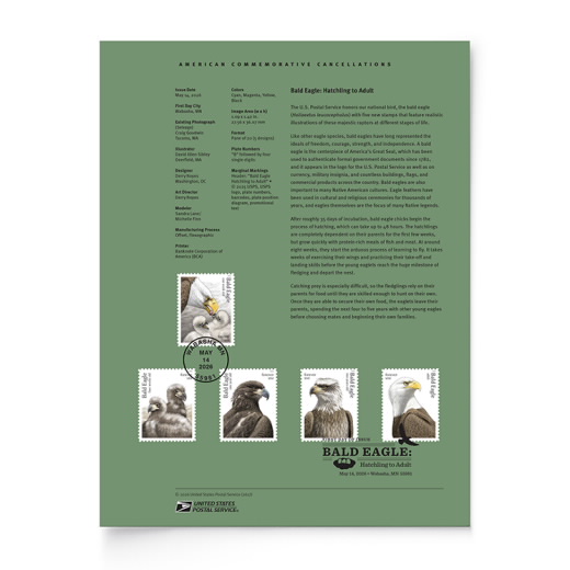 Bald Eagle: Hatchling to Adult American Commemorative Cancellation Page