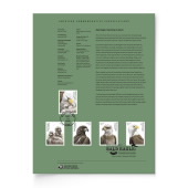 Bald Eagle: Hatchling to Adult American Commemorative Cancellation Page image