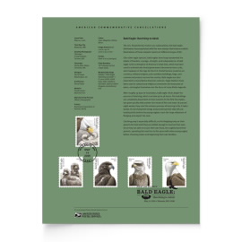 Bald Eagle: Hatchling to Adult American Commemorative Cancellation Page