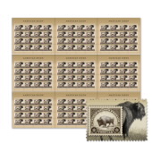 American Bison Press Sheet with Die-Cuts image