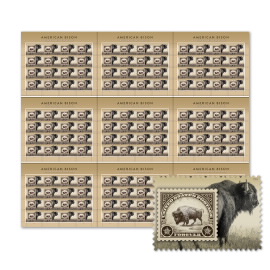 American Bison Press Sheet with Die-Cuts