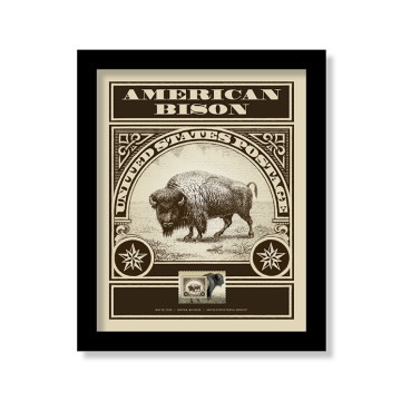 American Bison Framed Stamp