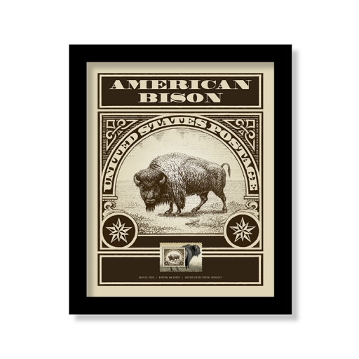 American Bison Framed Stamp