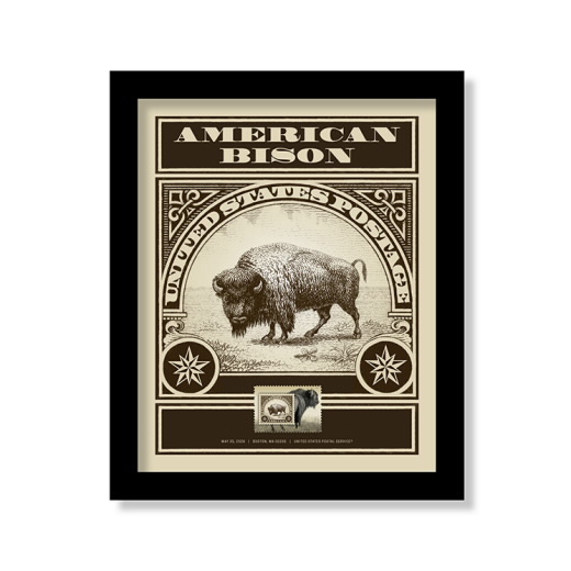 American Bison Framed Stamp