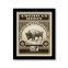 American Bison Framed Stamp