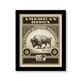 American Bison Framed Stamp