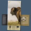 American Bison Stamp Portfolio