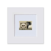 American Bison Matted Stamp image