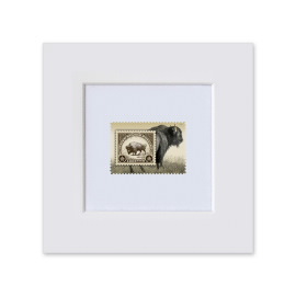 American Bison Matted Stamp
