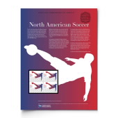 North American Soccer American Commemorative Panel® image