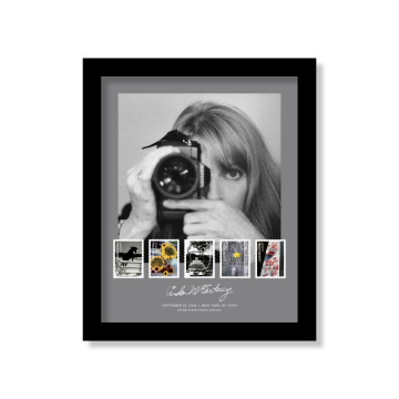 Linda McCartney Framed Stamp