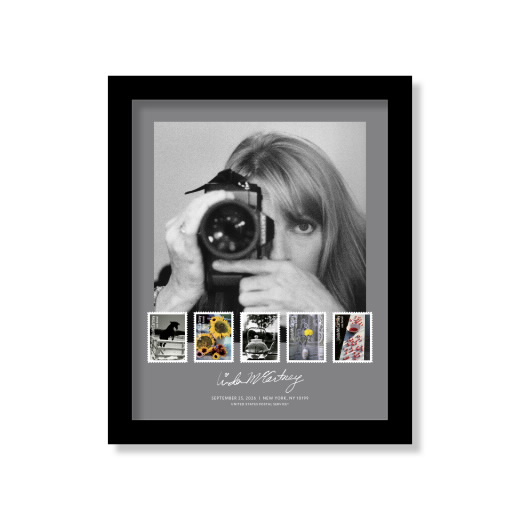 Linda McCartney Framed Stamp