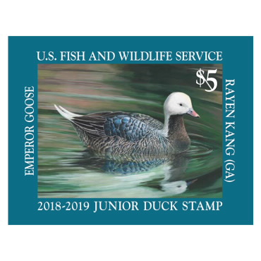 Jr Duck Emperor Goose 2018-2019