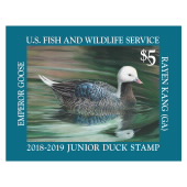 Jr Duck Emperor Goose 2018-2019 image